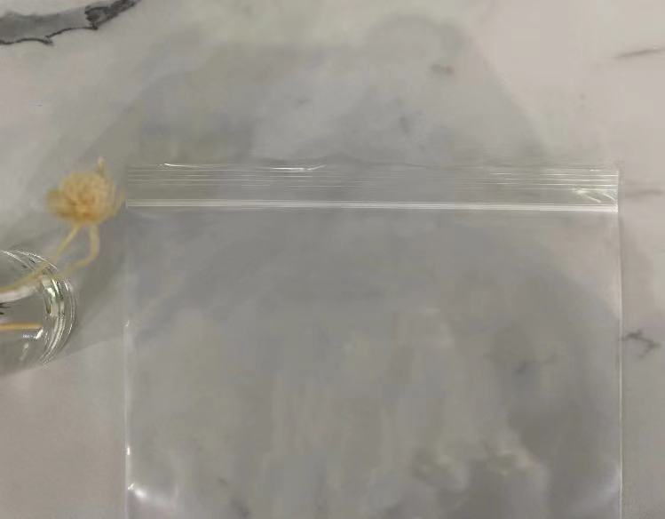 Transparent Ziplock Bag